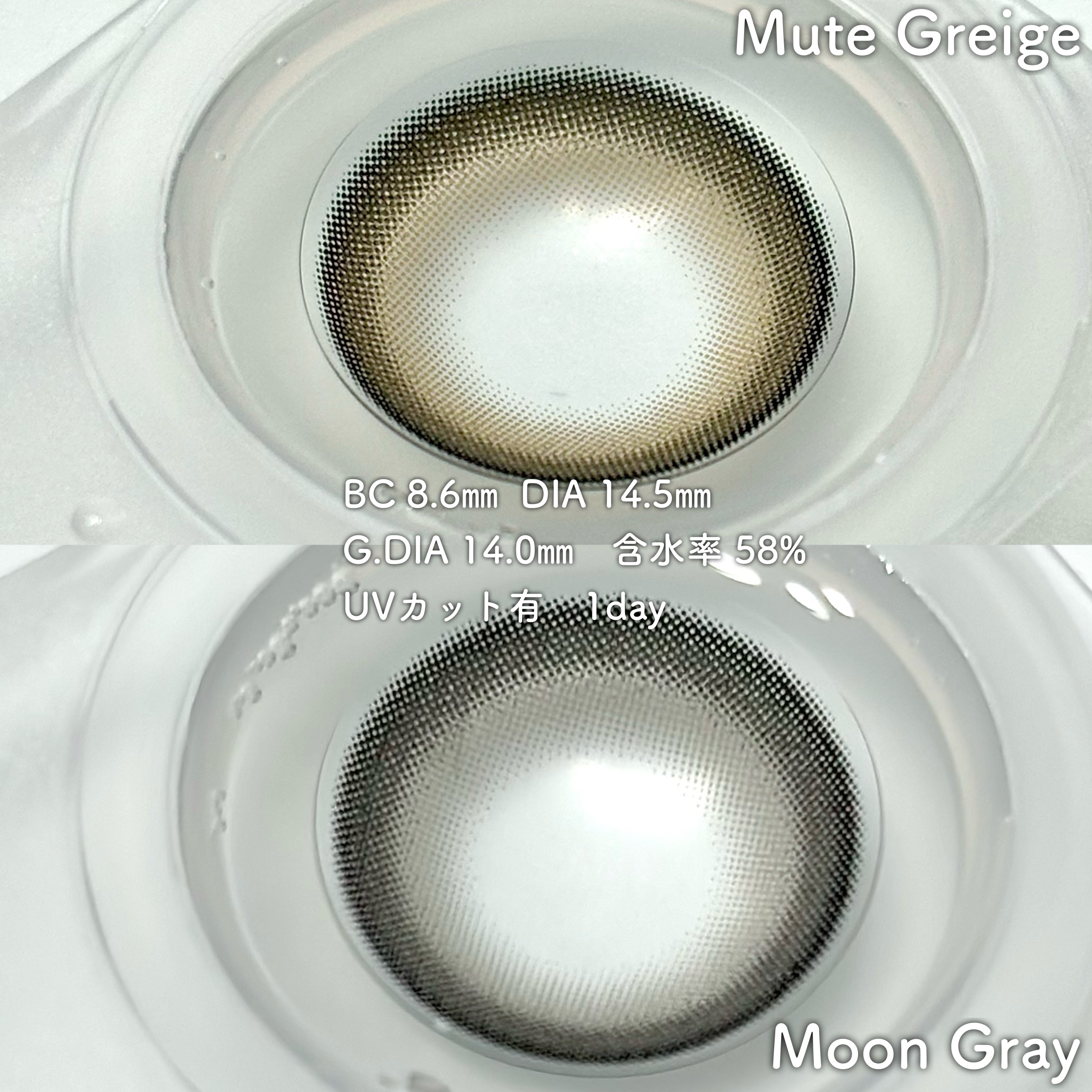 Majette 1day/Majette/ワンデー（１DAY）カラコンを使ったクチコミ（2枚目）