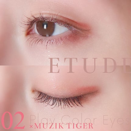 ムジークタイガープレイカラーアイズ/ETUDE/アイシャドウパレットを使ったクチコミ(2枚目)