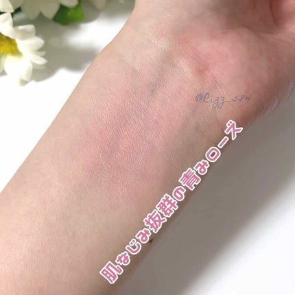 アディクション ザ ブラッシュ 022 Winter Blush (M) ウィンターブラッシュ/ADDICTION/パウダーチークの画像