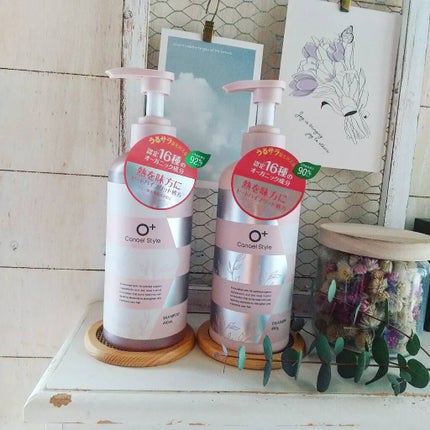 モイストリペア シャンプー/トリートメント /Canael Style /市販シャンプーを使ったクチコミ(3枚目)