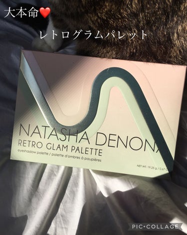 Retro Glam Eyeshadow Palette/Natasha Denona/アイシャドウパレットを使ったクチコミ（3枚目）