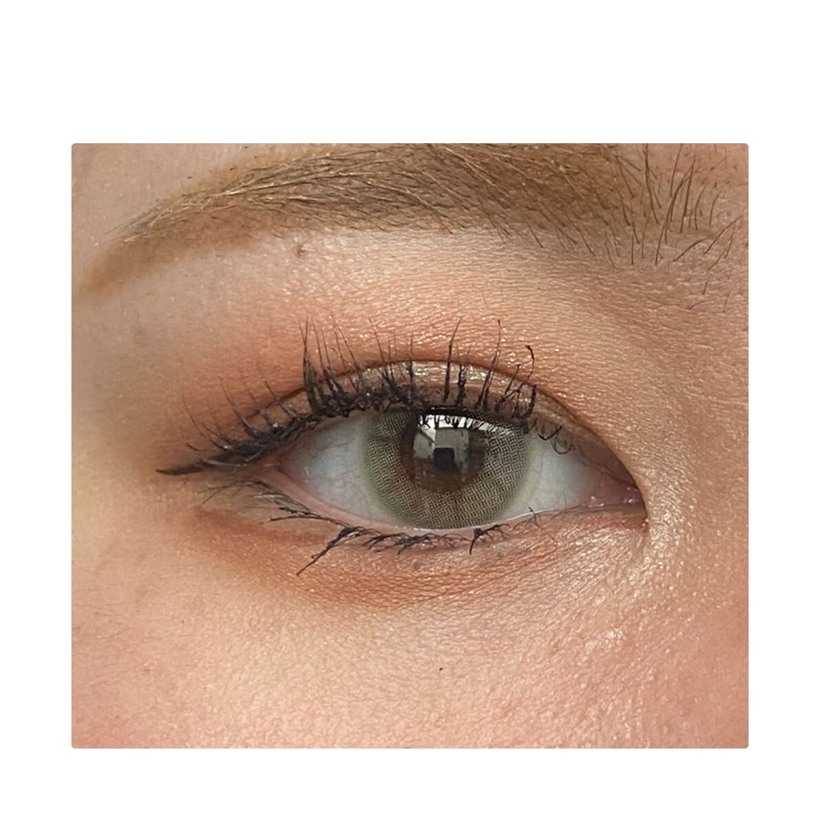 ラズル アイカラー/エレガンス ラズル /単色アイシャドウを使ったクチコミ（1枚目）