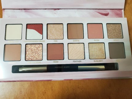 エクスプローラ12色 動物アイシャドウパレット/PERFECT DIARY/アイシャドウパレットを使ったクチコミ(2枚目)