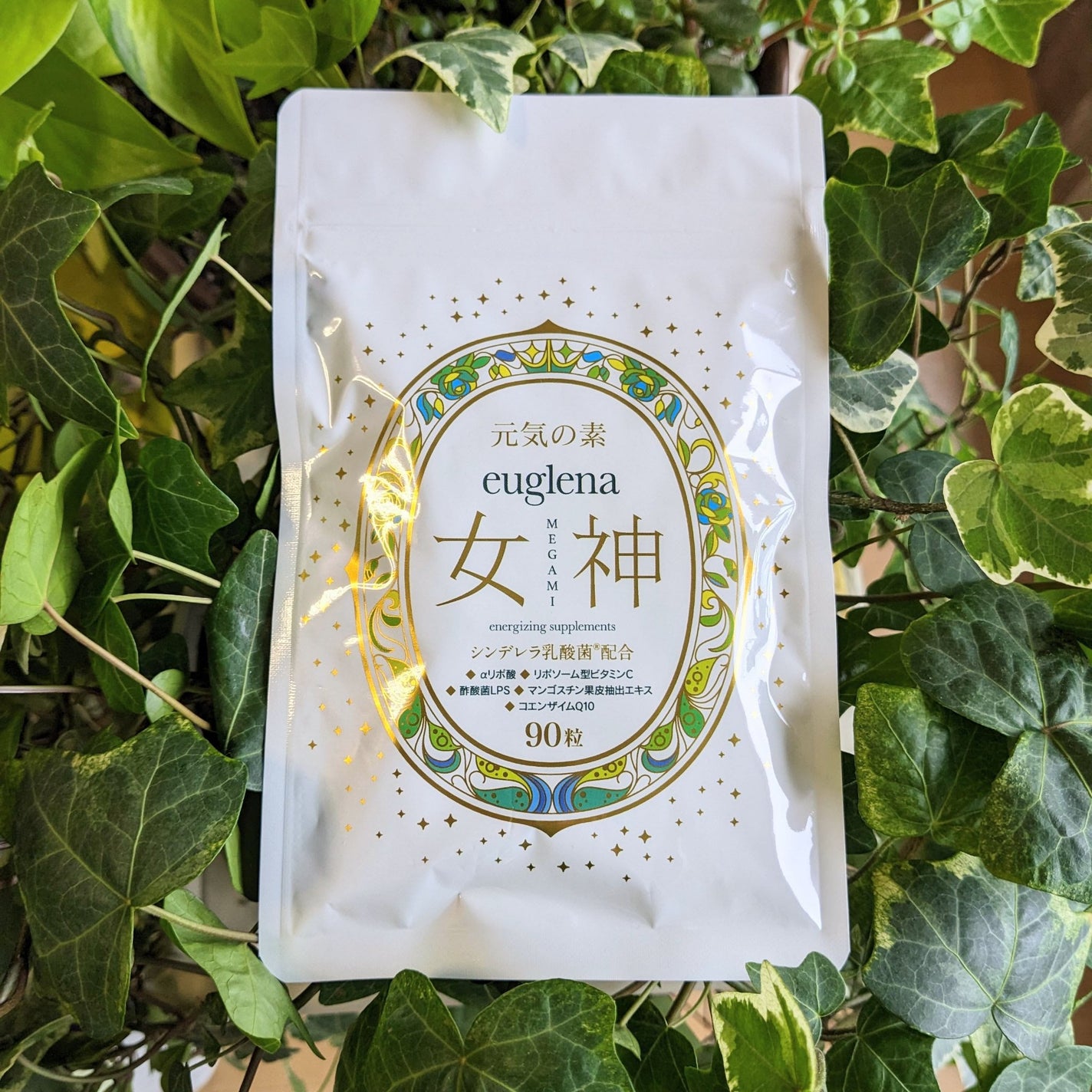 元気の素ユーグレナ女神/株式会社SUI/健康サプリメントを使ったクチコミ(2枚目)