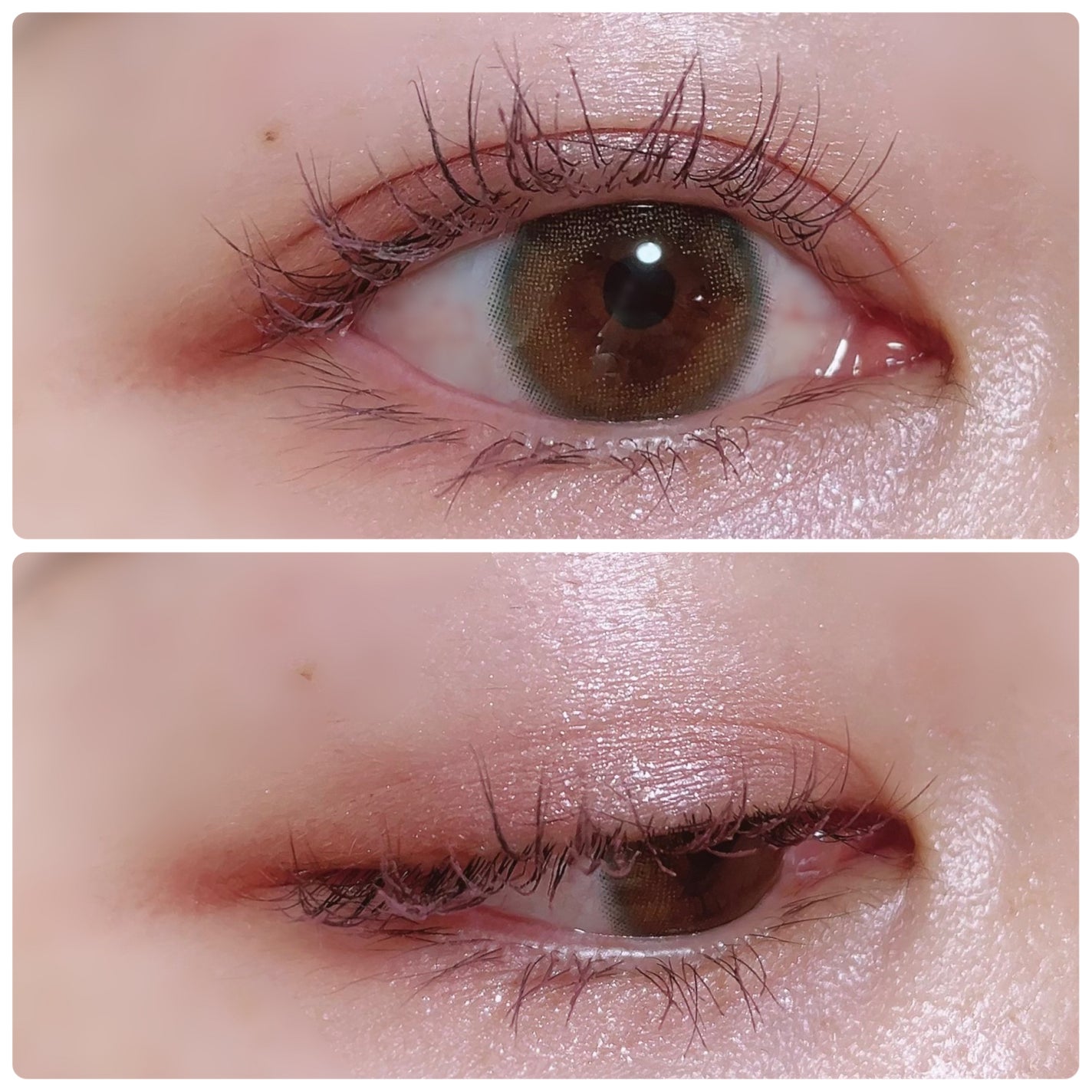 クイックラッシュカーラー/キャンメイク/マスカラ下地を使ったクチコミ(3枚目)