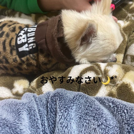 贅沢泡とろ 入浴料 ジュエリーローズの香り/お湯物語/保湿系入浴剤を使ったクチコミ(10枚目)