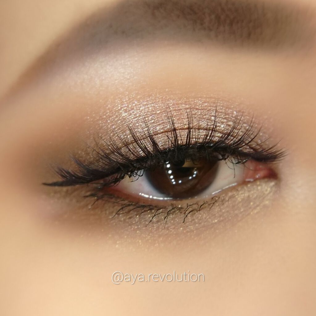 Going Coconuts Bronzed Eyeshadow Palette/ColourPop/アイシャドウパレットを使ったクチコミ（2枚目）