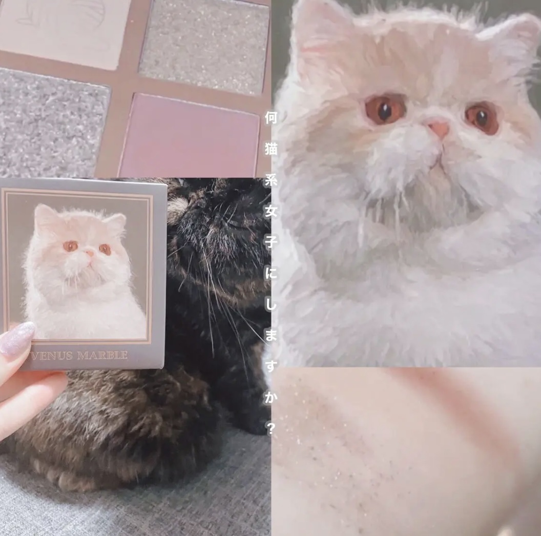 Venus Marble アイシャドウキャットシリーズ/Venus Marble/アイシャドウパレットを使ったクチコミ（1枚目）