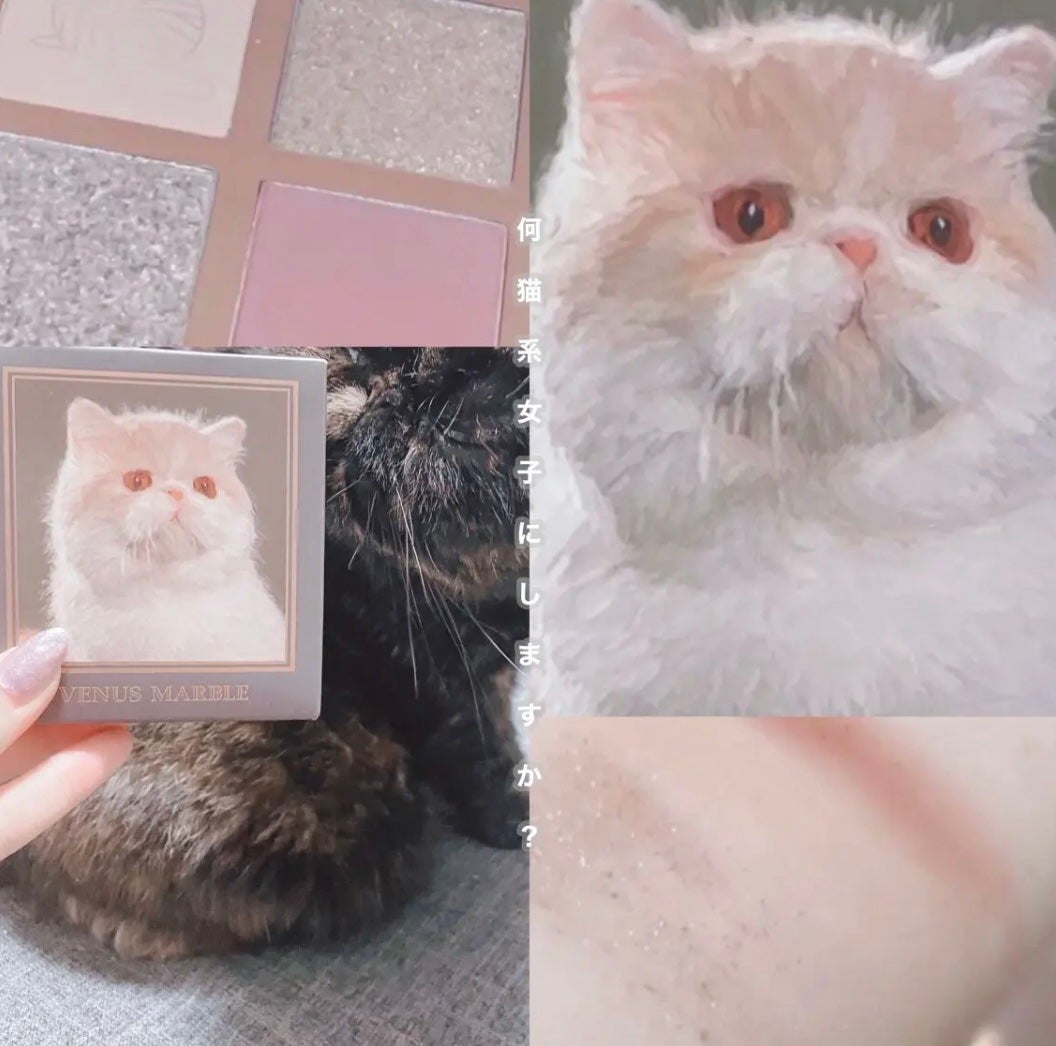 Venus Marble アイシャドウキャットシリーズ/Venus Marble/アイシャドウパレットを使ったクチコミ(1枚目)