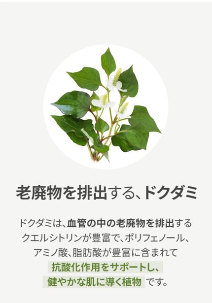 ドクダミ化粧水/ONE THING/化粧水を使ったクチコミ(4枚目)