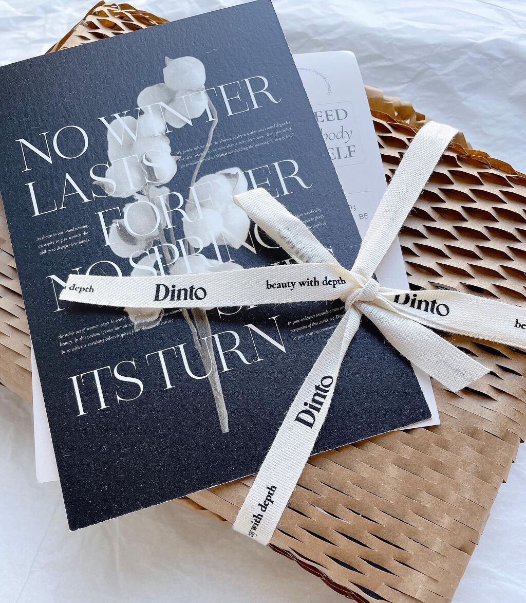 ブラーフィニッシュ雲楚クッション/Dinto/クッションファンデーションを使ったクチコミ(5枚目)