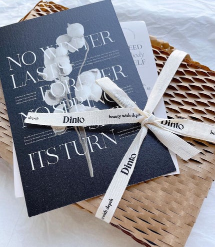 ブラーフィニッシュ雲楚クッション/Dinto/クッションファンデーションを使ったクチコミ(5枚目)