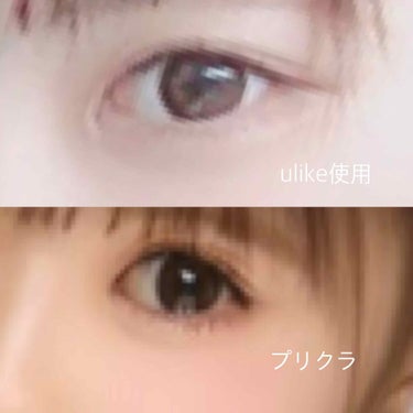 ReVIA 1month [COLOR] Sheer Sable（シアーセーブル）/ReVIA/１ヶ月（１MONTH）カラコンを使ったクチコミ（3枚目）