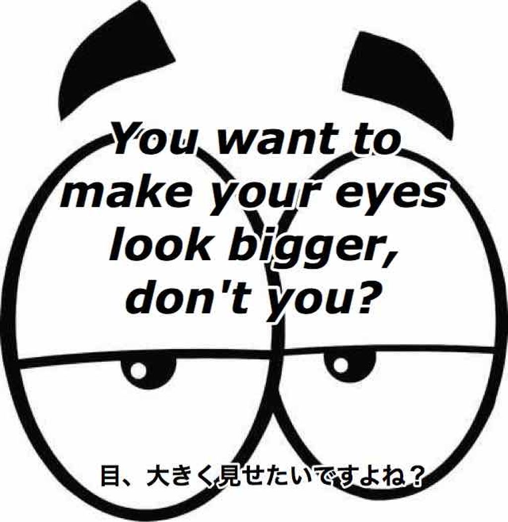 ラスティングリキッドアイライナー/Petit Chou/リキッドアイライナーを使ったクチコミ（1枚目）