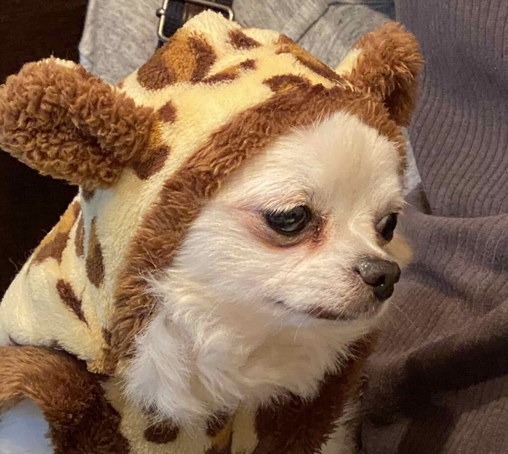 ミネラルエッセンスBBクリーム/ONLY MINERALS/BBクリームを使ったクチコミ(6枚目)