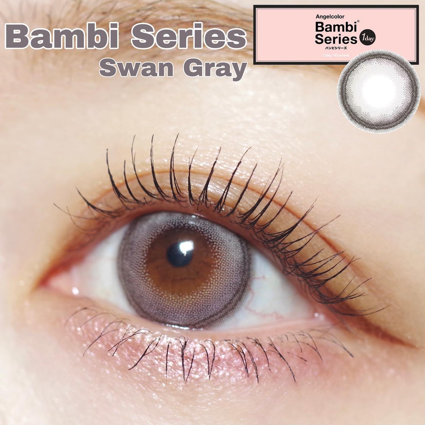Angelcolor Bambi Series 1day /AngelColor/ワンデー(1DAY)カラコンを使ったクチコミ(1枚目)
