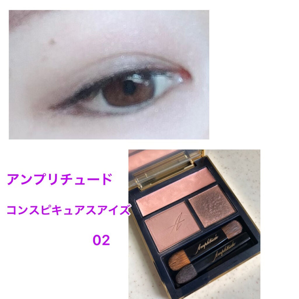 コンスピキュアス アイズ/Amplitude/アイシャドウパレットを使ったクチコミ(2枚目)