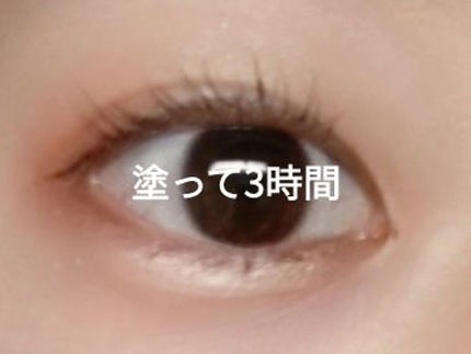 ウォンジョンヨ ヌードアイラッシュ/Wonjungyo/マスカラを使ったクチコミ(3枚目)