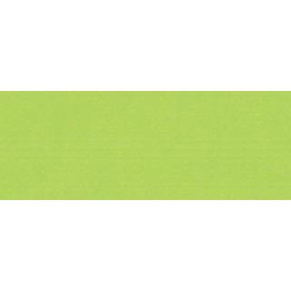 023 ブリリアント イエロー グリーン