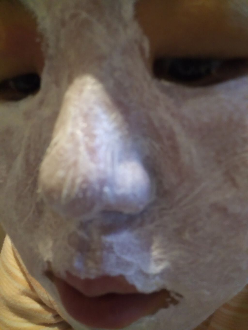 ルミナイジング クレイe/IPSA/洗い流すパック・マスクを使ったクチコミ（2枚目）