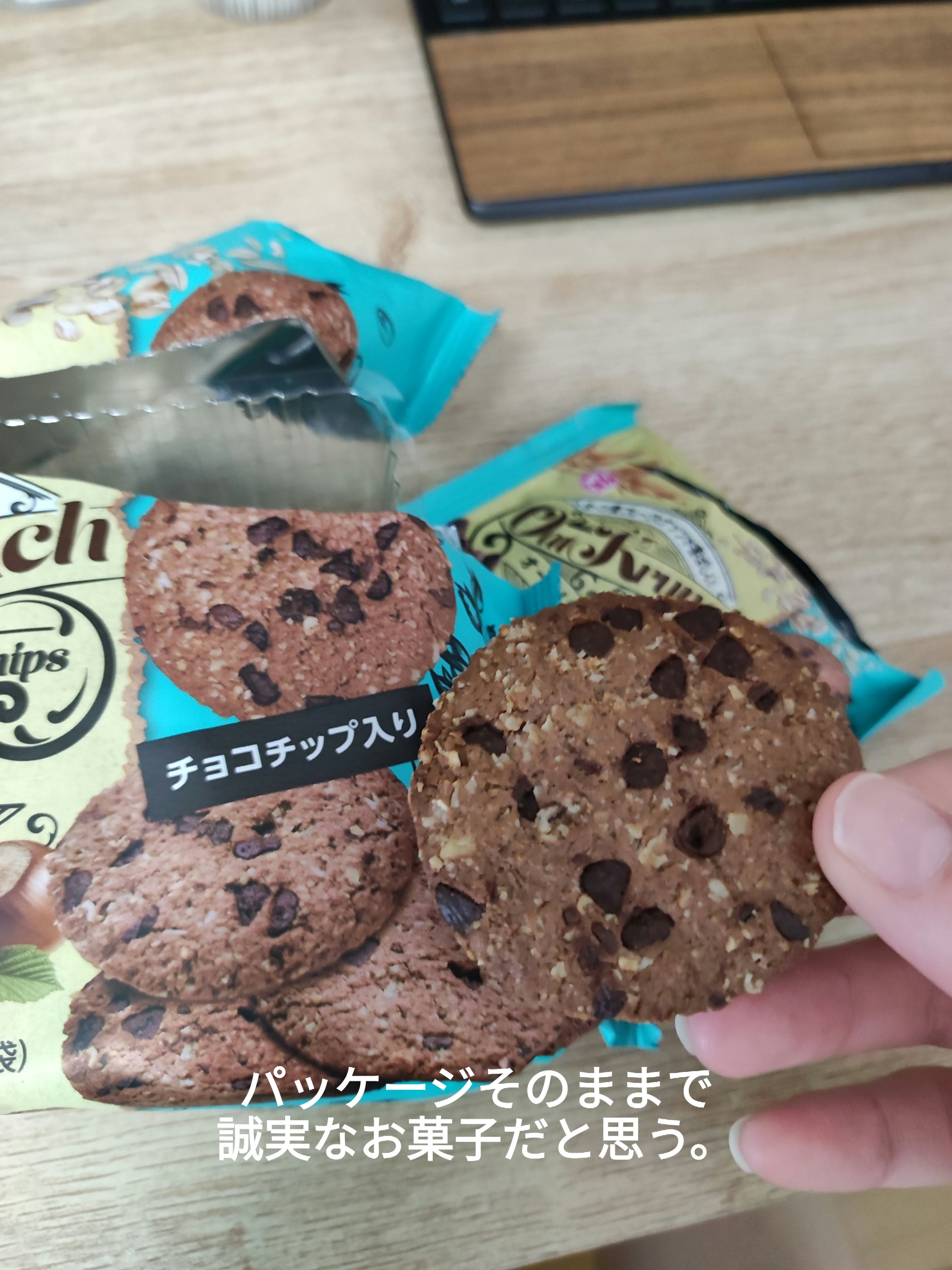 BRUNT FB CASE チョコチップ brunt FB CASE フラットバーナー ケース チョコチップ｜Yahoo