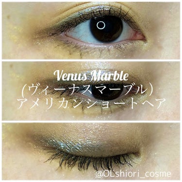 Venus Marble アイシャドウキャットシリーズ/Venus Marble/アイシャドウパレットを使ったクチコミ（1枚目）