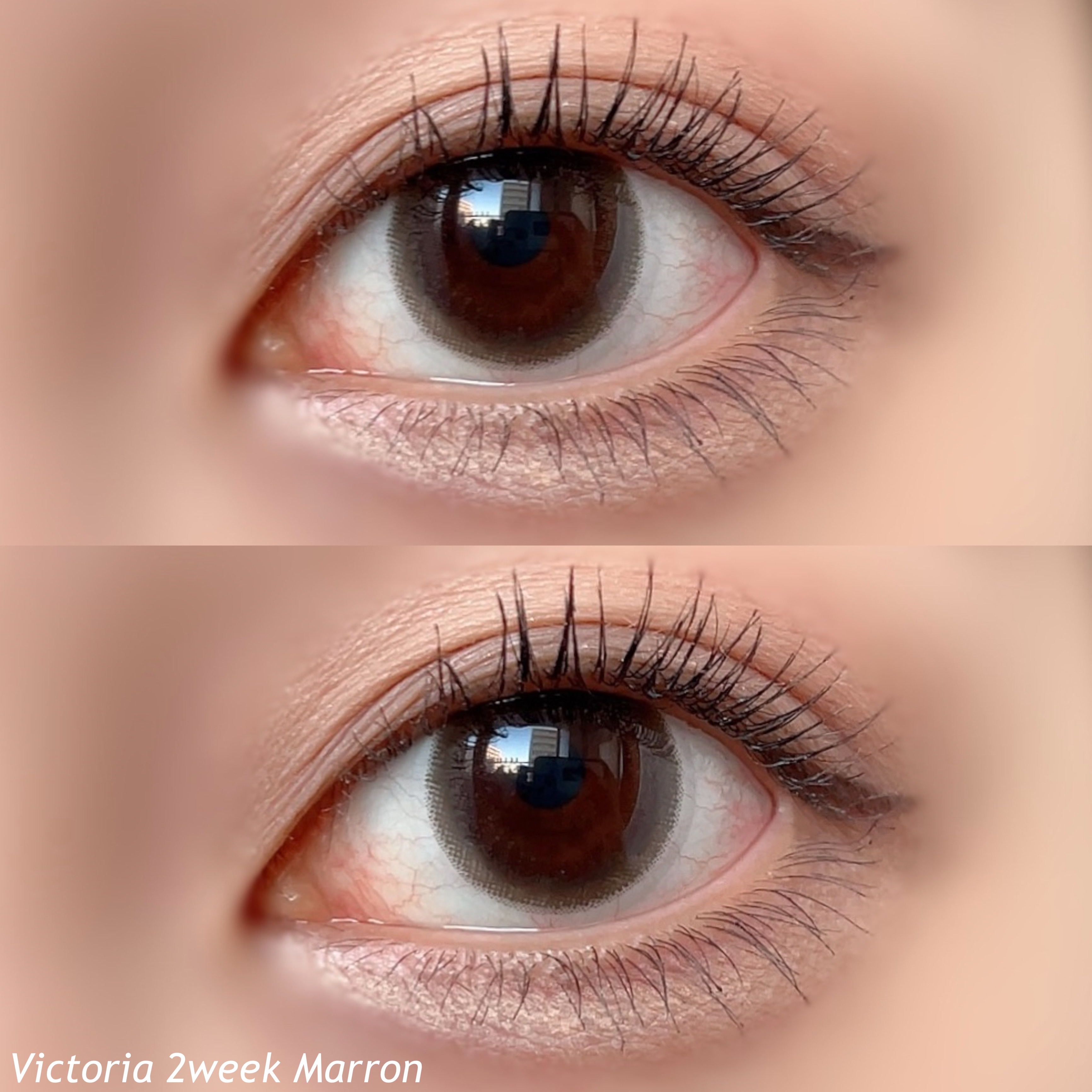 Victoria(ヴィクトリア）2week/Victoria/２週間（２WEEKS）カラコンを使ったクチコミ（3枚目）