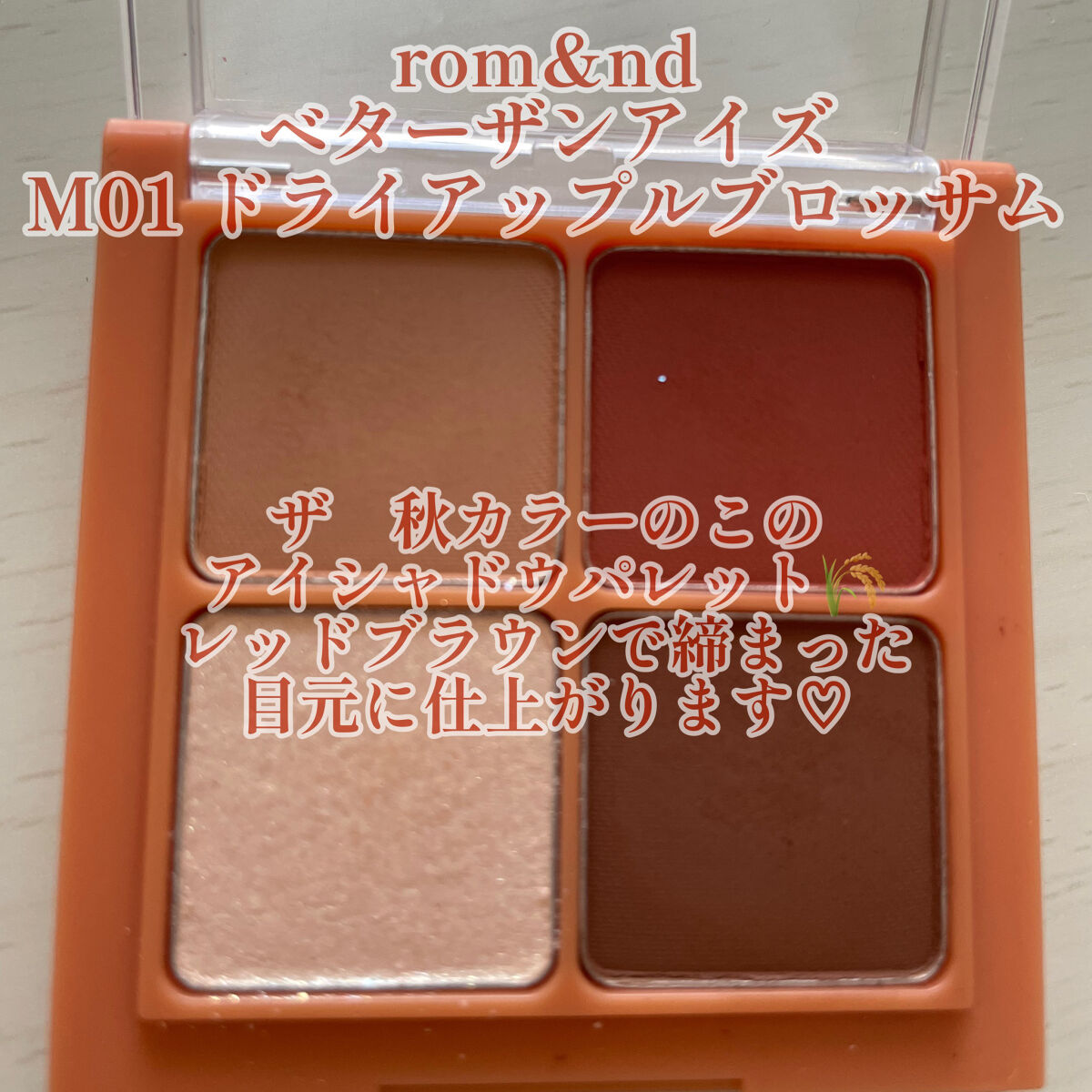 ベターザンアイズ ミュージックシリーズ/rom&nd/アイシャドウパレットを使ったクチコミ（2枚目）