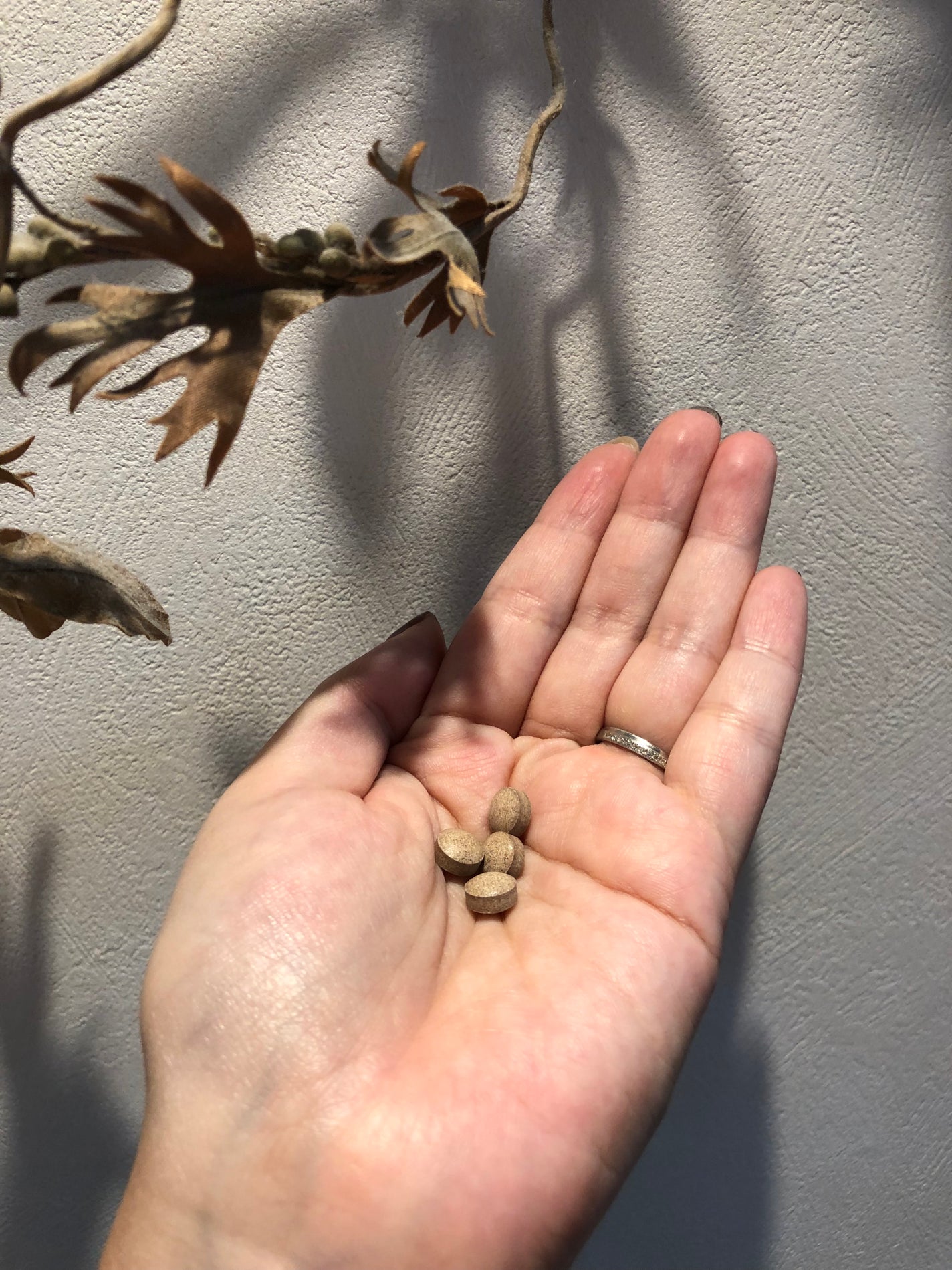 プレミアムカロリミット/ファンケル/ボディサプリメントを使ったクチコミ(3枚目)