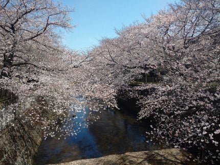 フレンドネイル(リニューアル品) 1-27(33143)ミントシュガー/DAISO/マニキュアの画像