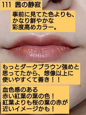 ケイト リップモンスター/KATE/口紅を使ったクチコミ(2枚目)