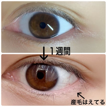 ラッシュアディクト アイラッシュコンディショニングセラム/soaddicted/まつげ美容液を使ったクチコミ(4枚目)