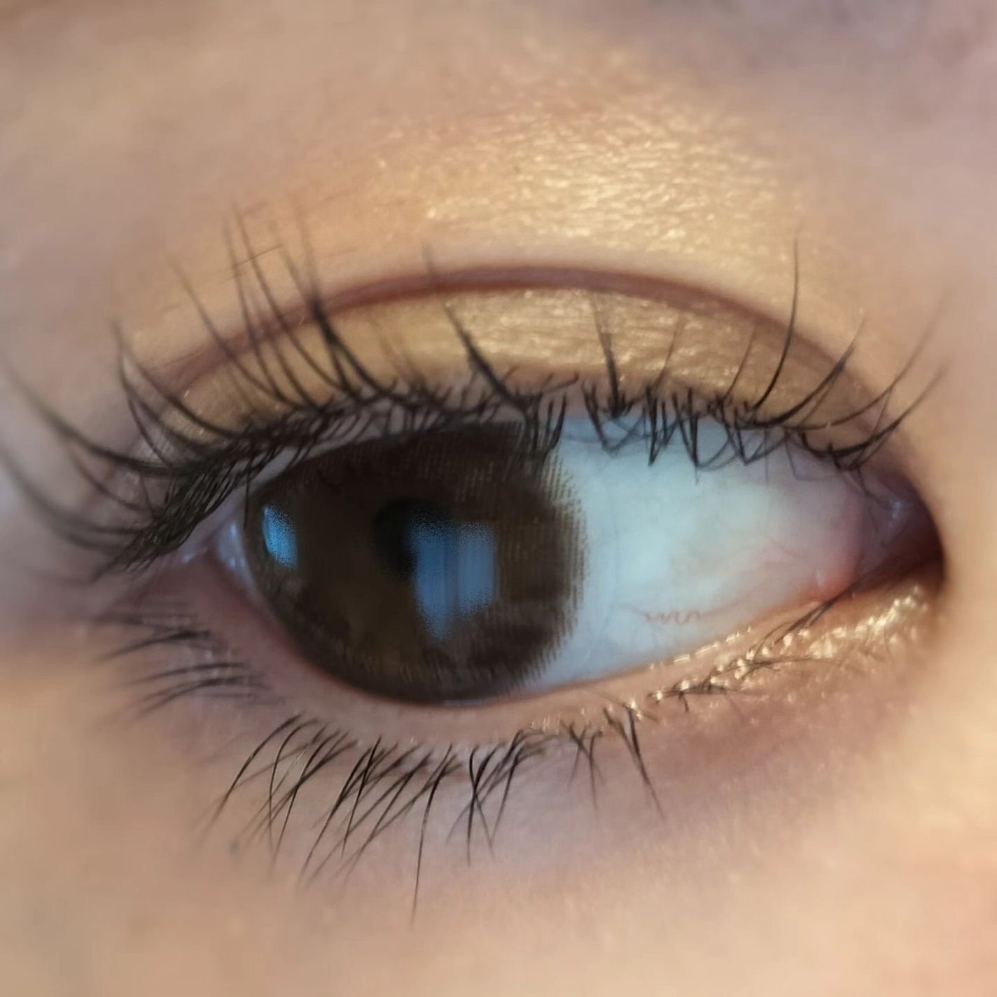 ramurie ラムリエ/ramurie/ワンデー(1DAY)カラコンを使ったクチコミ(5枚目)