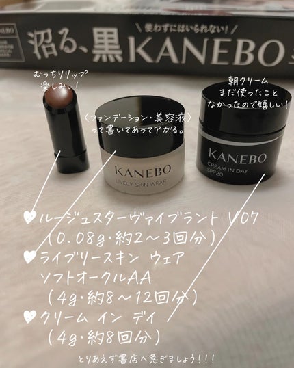 クリーム イン デイ/KANEBO/フェイスクリームを使ったクチコミ(4枚目)