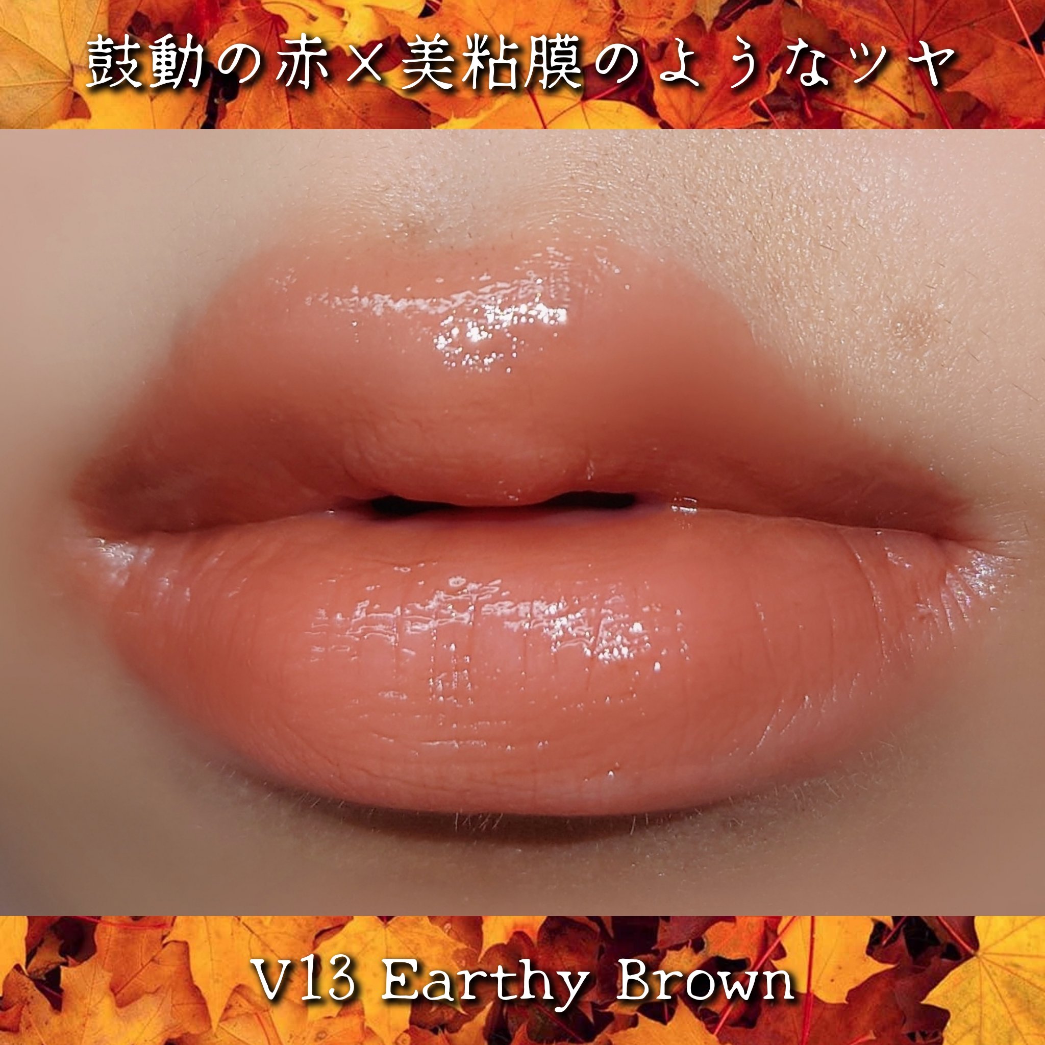 ルージュスターヴァイブラント/KANEBO/口紅を使ったクチコミ（3枚目）