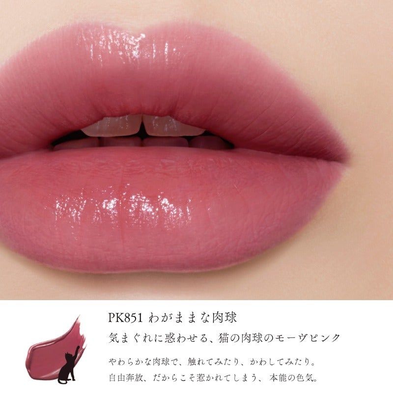 ネンマクフェイク ルージュ/Visée/口紅を使ったクチコミ(2枚目)