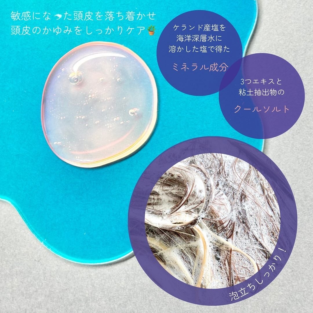 クールソルトスケーリングシャンプー/クールソルトスカルプトリートメント/Dr.G/市販シャンプーを使ったクチコミ(3枚目)
