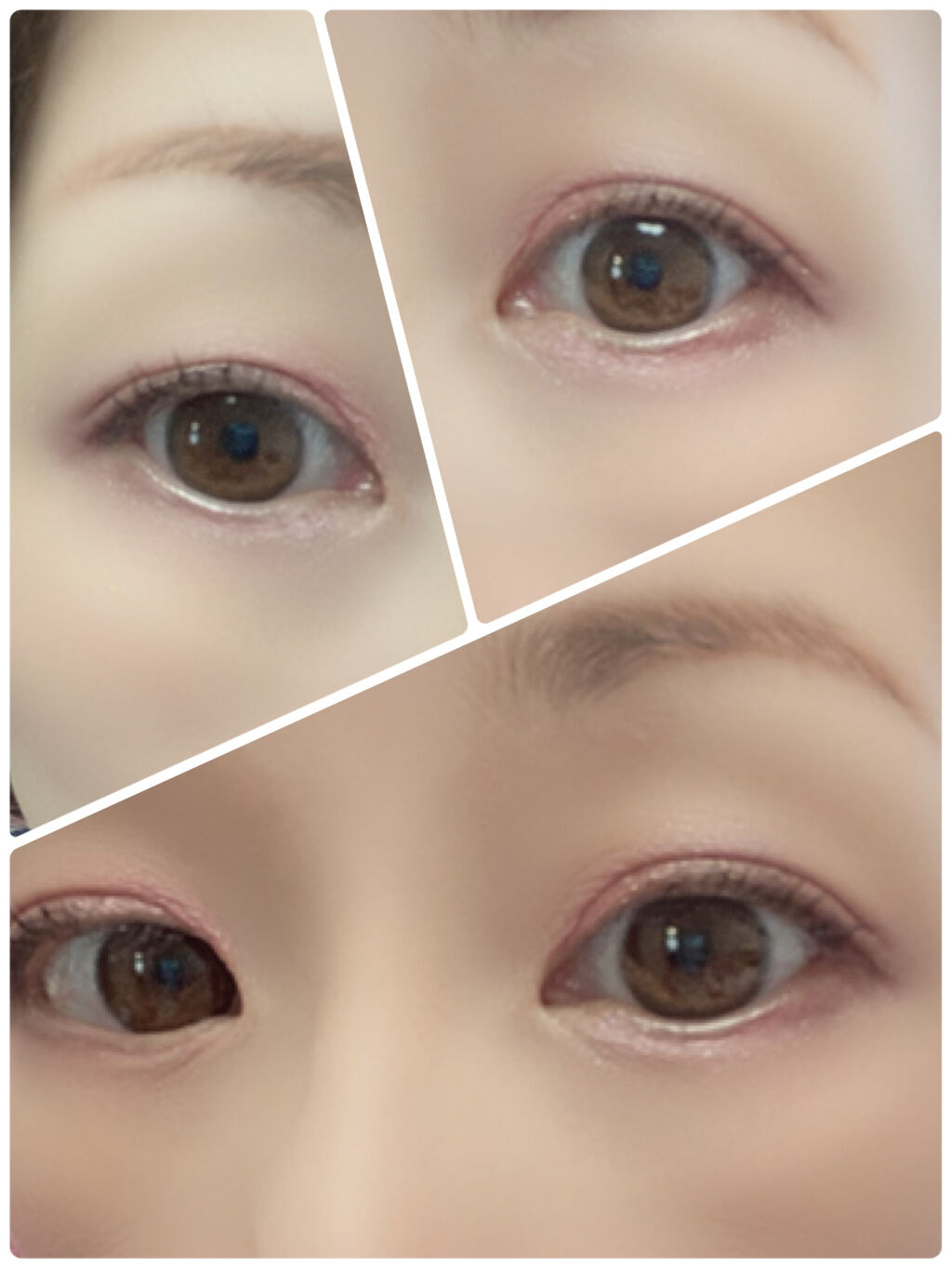 ピグメント #02 スパイシー味/BBIA/アイシャドウパレットを使ったクチコミ（3枚目）