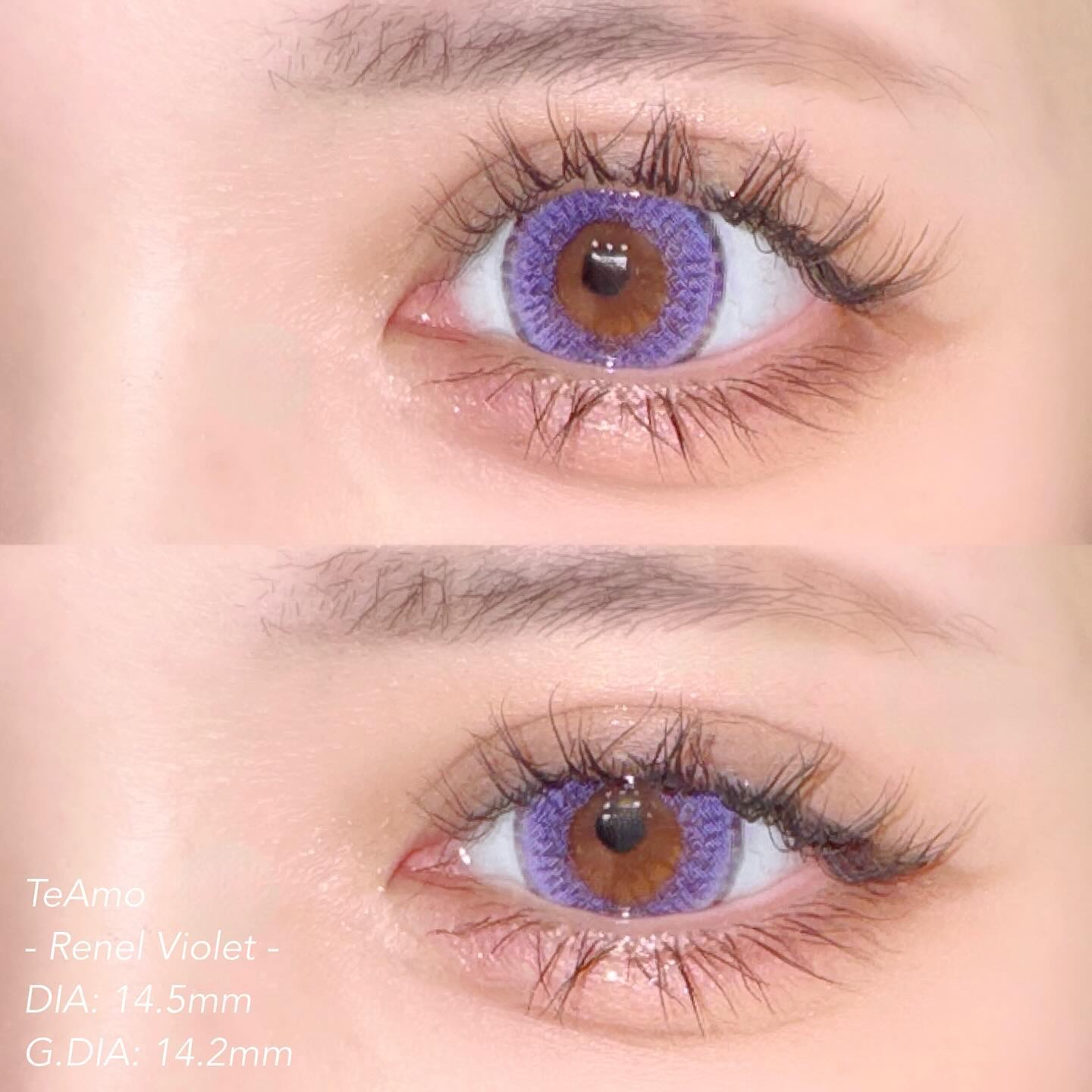 Renel Series/TeAmo/カラーコンタクトレンズを使ったクチコミ（1枚目）