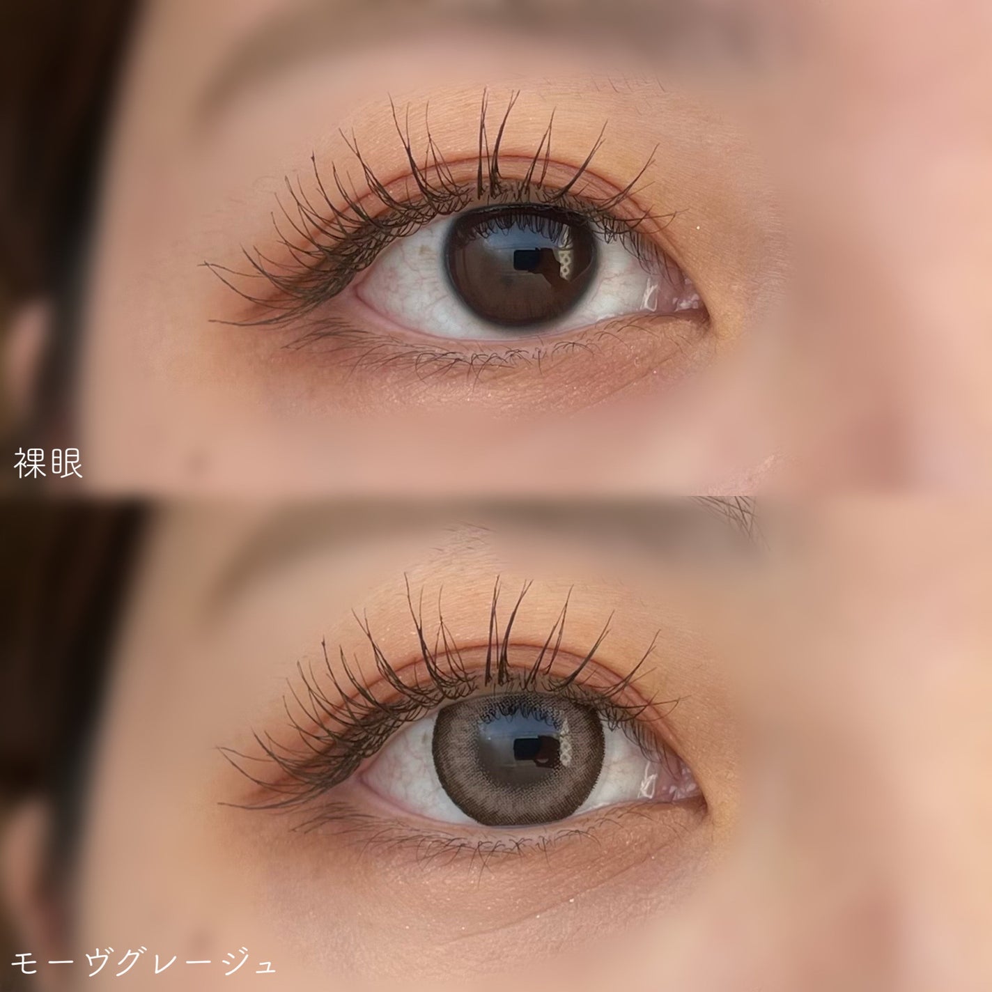 Majette 1day/Majette/ワンデー(1DAY)カラコンを使ったクチコミ(3枚目)