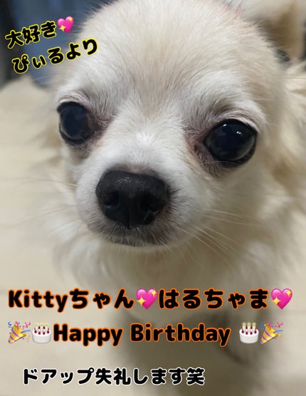 ミニネイル/パラドゥ/マニキュアを使ったクチコミ(8枚目)