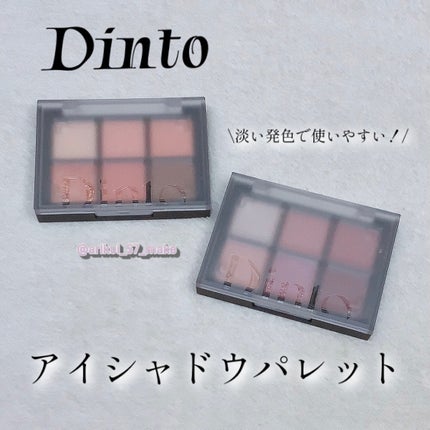 ブラーフィニシュシャドウパレット/Dinto/アイシャドウパレットを使ったクチコミ(1枚目)