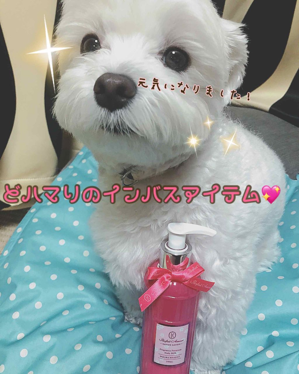 フレグランス プレミアム ボディミルク/パルフェタムール サボンサボン/ボディミルクを使ったクチコミ（1枚目）