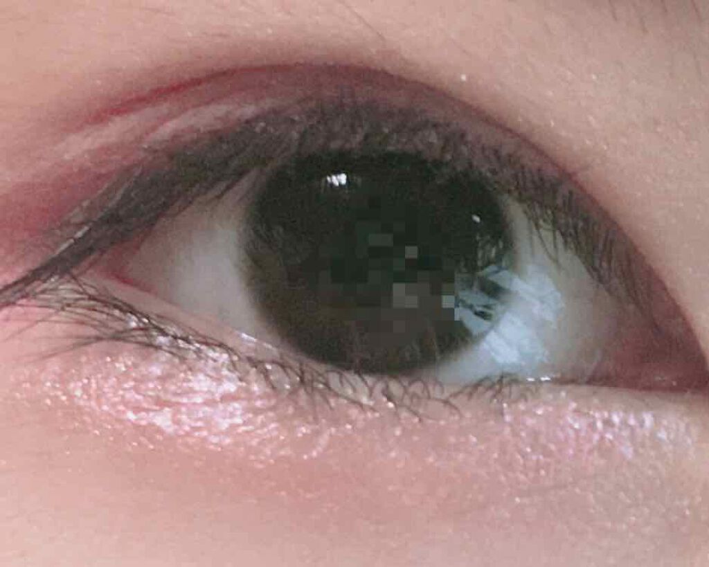 WHY NOT SPINNS 2色チーク ハイライトローライト/DAISO/パウダーチークを使ったクチコミ(4枚目)