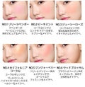 LANEIGE アイデアル ブラッシュ デュオ