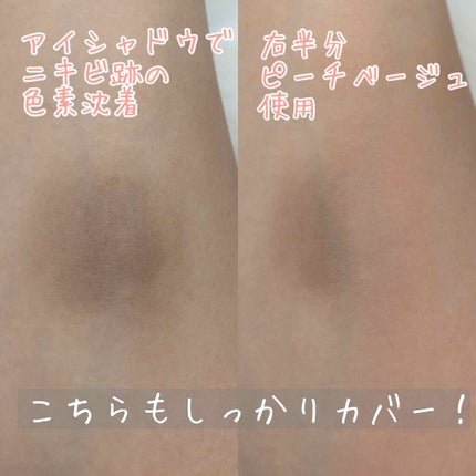 カバーパーフェクション チップコンシーラー/the SAEM/リキッドコンシーラーを使ったクチコミ(4枚目)