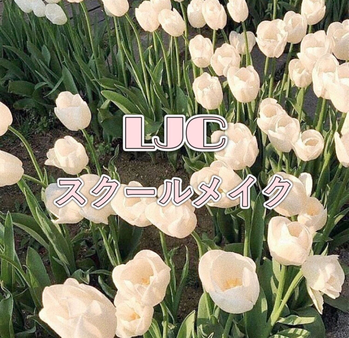 ノーズ&アイブロウパウダー/CEZANNE/パウダーアイブロウを使ったクチコミ(1枚目)