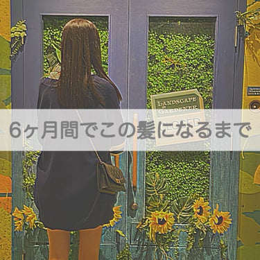 髪をサラサラにした方法を教えます🤍
((そこまで言えるほどじゃないと思いますが…

ちなみにBefore・Afterの写真はどっちもノーマルカメラ無加工です！





こんにちは！わか🍒です！！投稿2