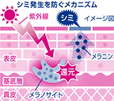 ケシミン浸透化粧水 しっとりタイプ/ケシミン/化粧水を使ったクチコミ（1枚目）