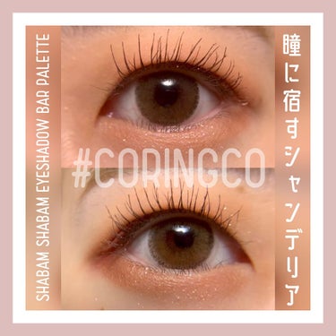 シャバンシャバンアイシャドウバーパレット 01 Shinning Night/CORINGCO/アイシャドウパレットを使ったクチコミ（1枚目）